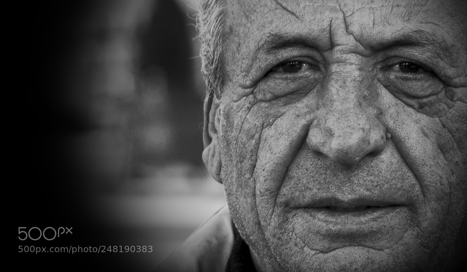 Nikon D810 sample photo. Silent story photography