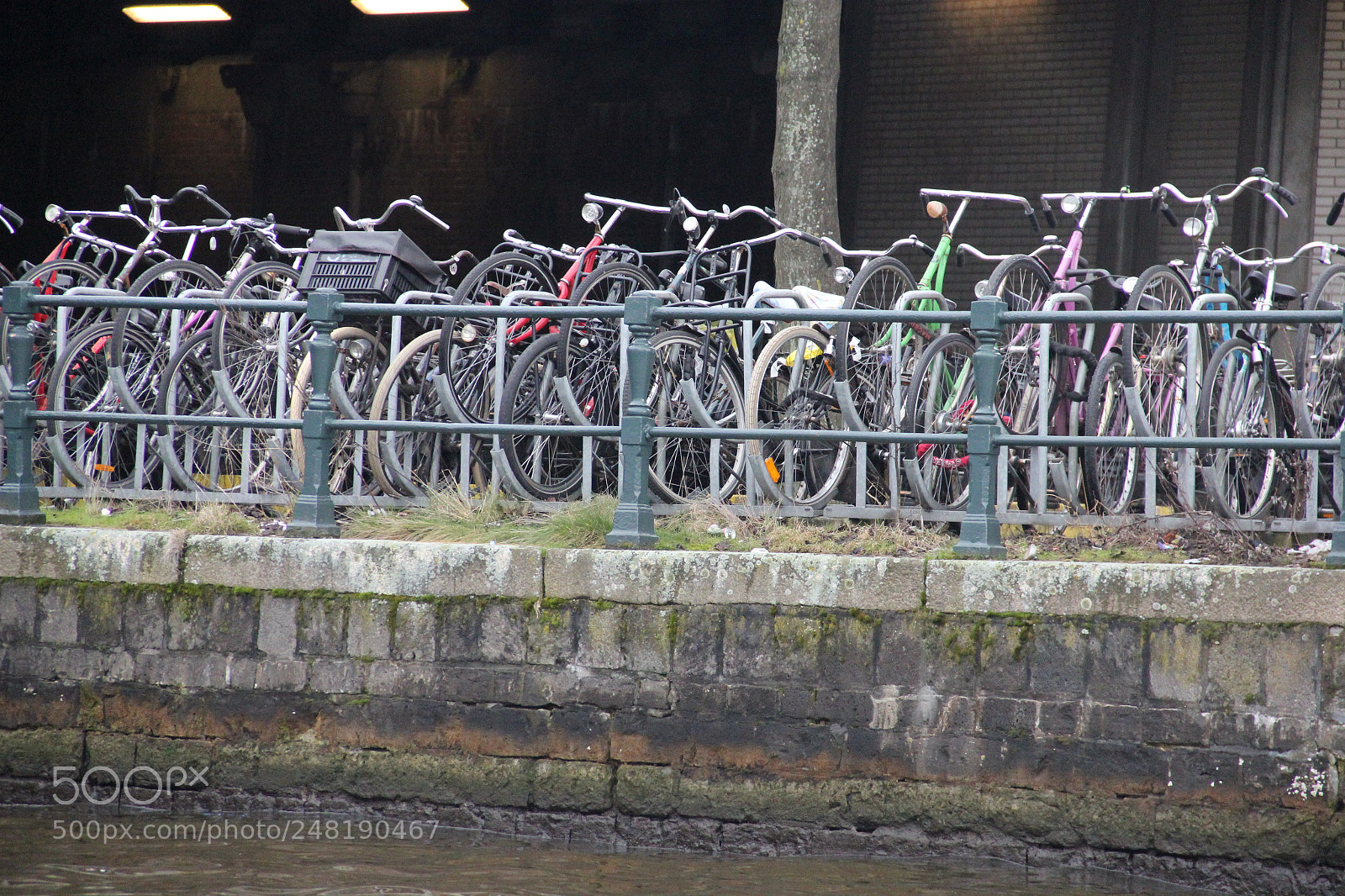 Canon EOS 550D (EOS Rebel T2i / EOS Kiss X4) sample photo. Bike parking lot photography