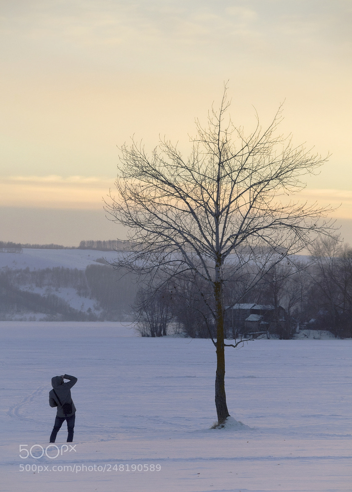 Nikon D3100 sample photo. Winter photography