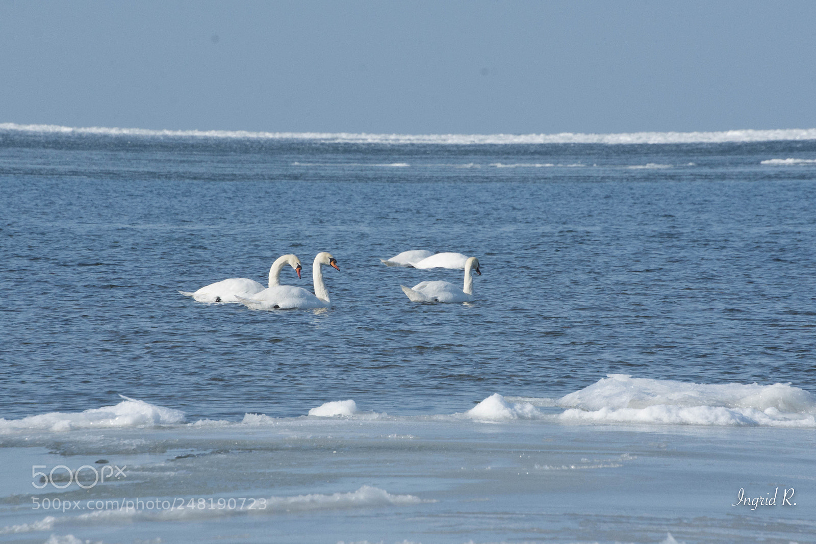 Nikon D7200 sample photo. Vormsi island estonia (of ) photography