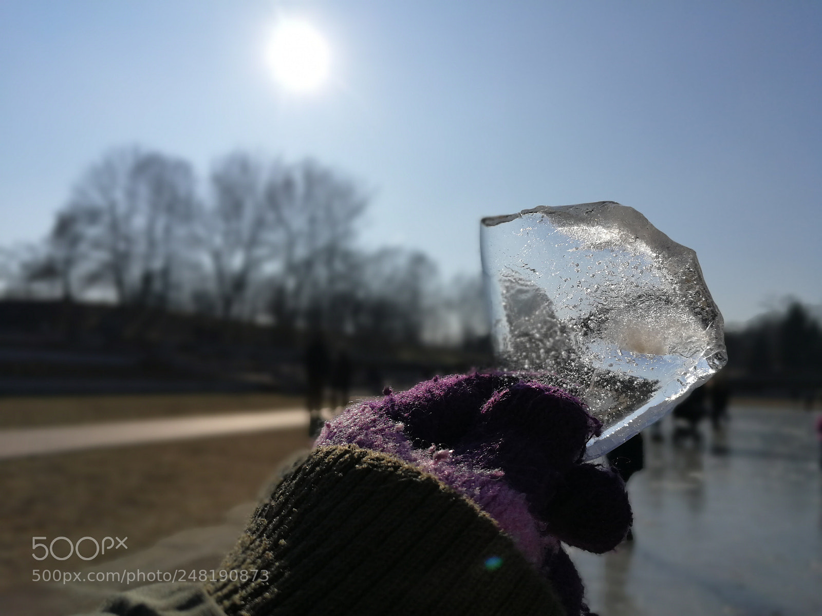 HUAWEI P10 sample photo. Untitled photography