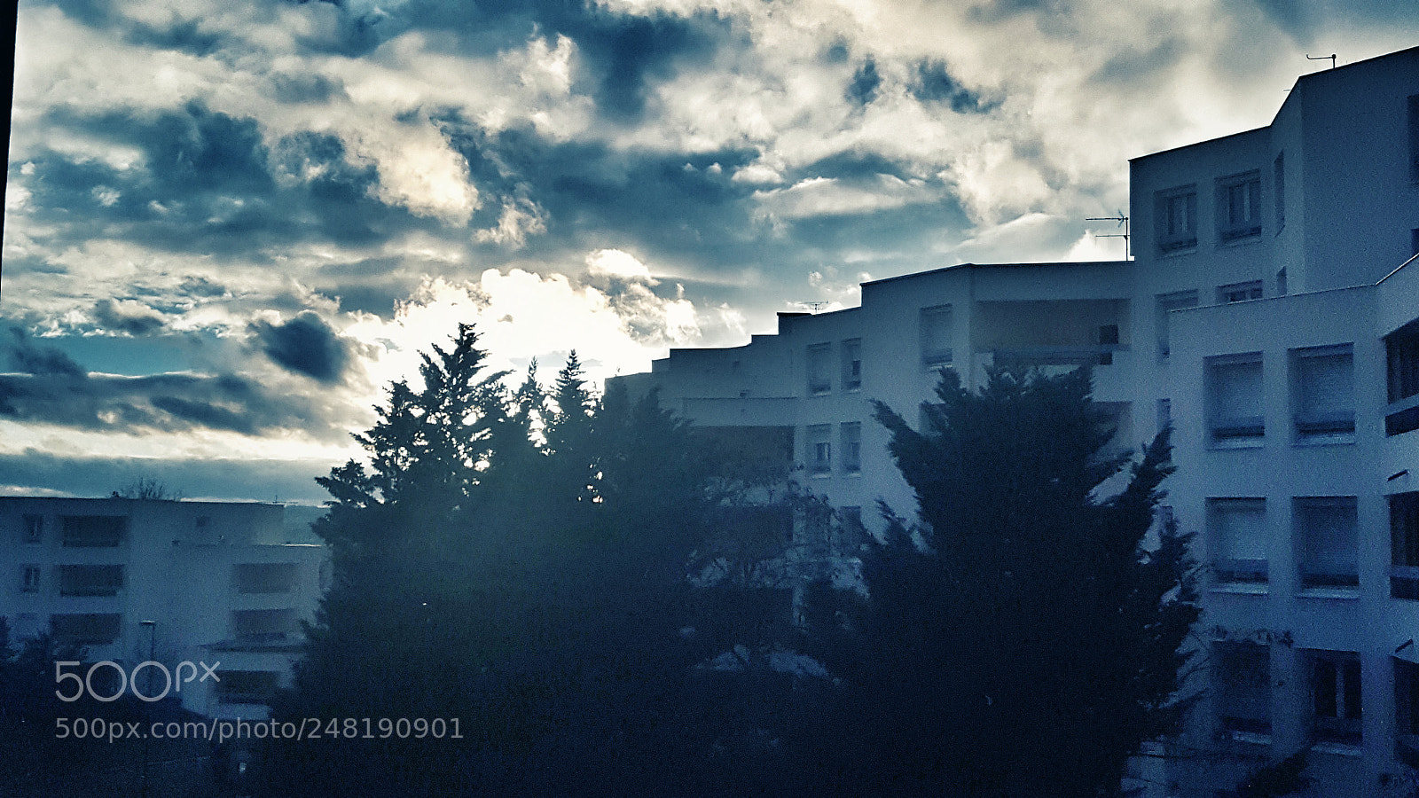 Samsung Galaxy Note5 sample photo. Untitled photography