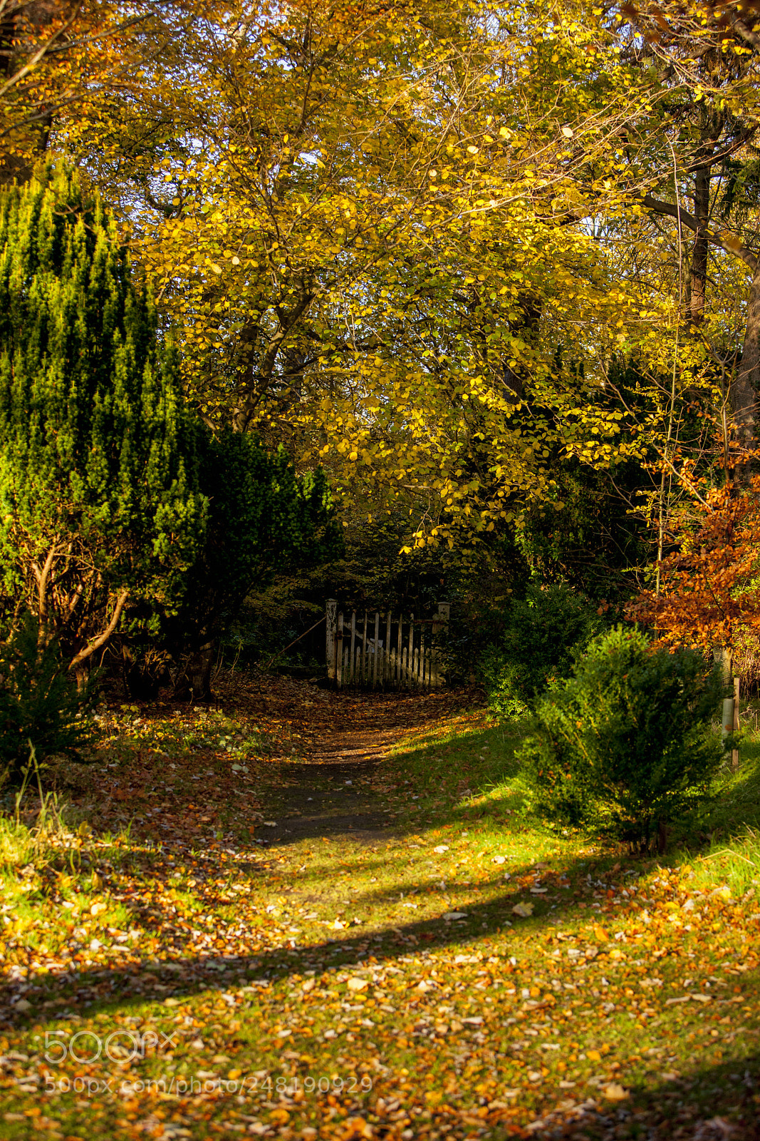 Canon EOS-1Ds Mark III sample photo. Secret gate photography