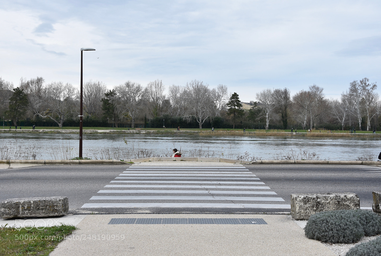 Nikon D7200 sample photo. Path photography