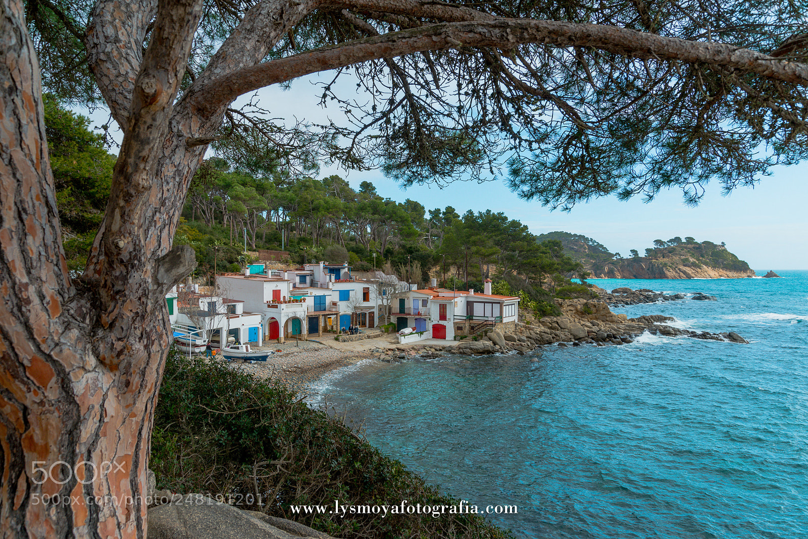 Nikon D610 sample photo. Costa brava. cala de photography