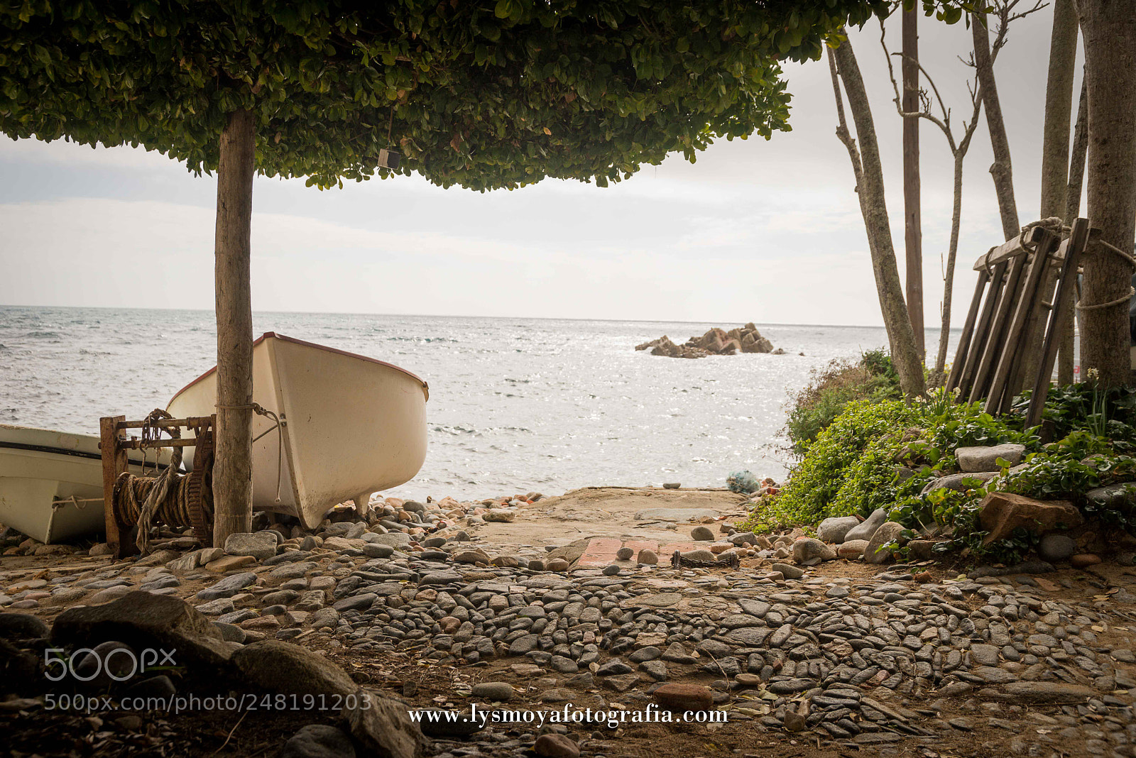 Nikon D610 sample photo. Costa brava. cala de photography