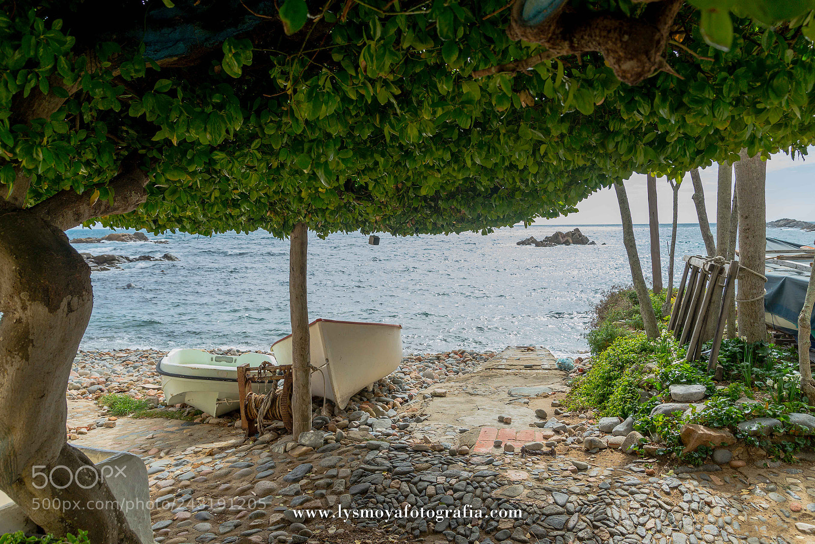 Nikon D610 sample photo. Costa brava. cala de photography