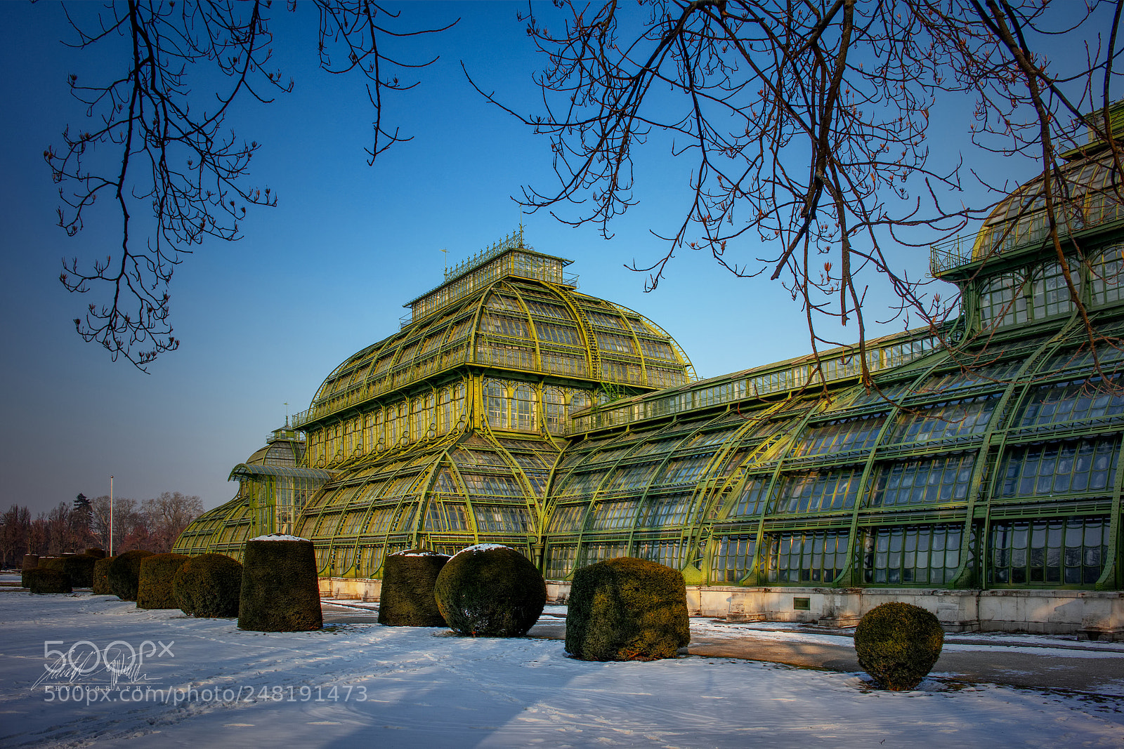 Canon EOS M6 sample photo. Palmenhaus schönbrunn photography