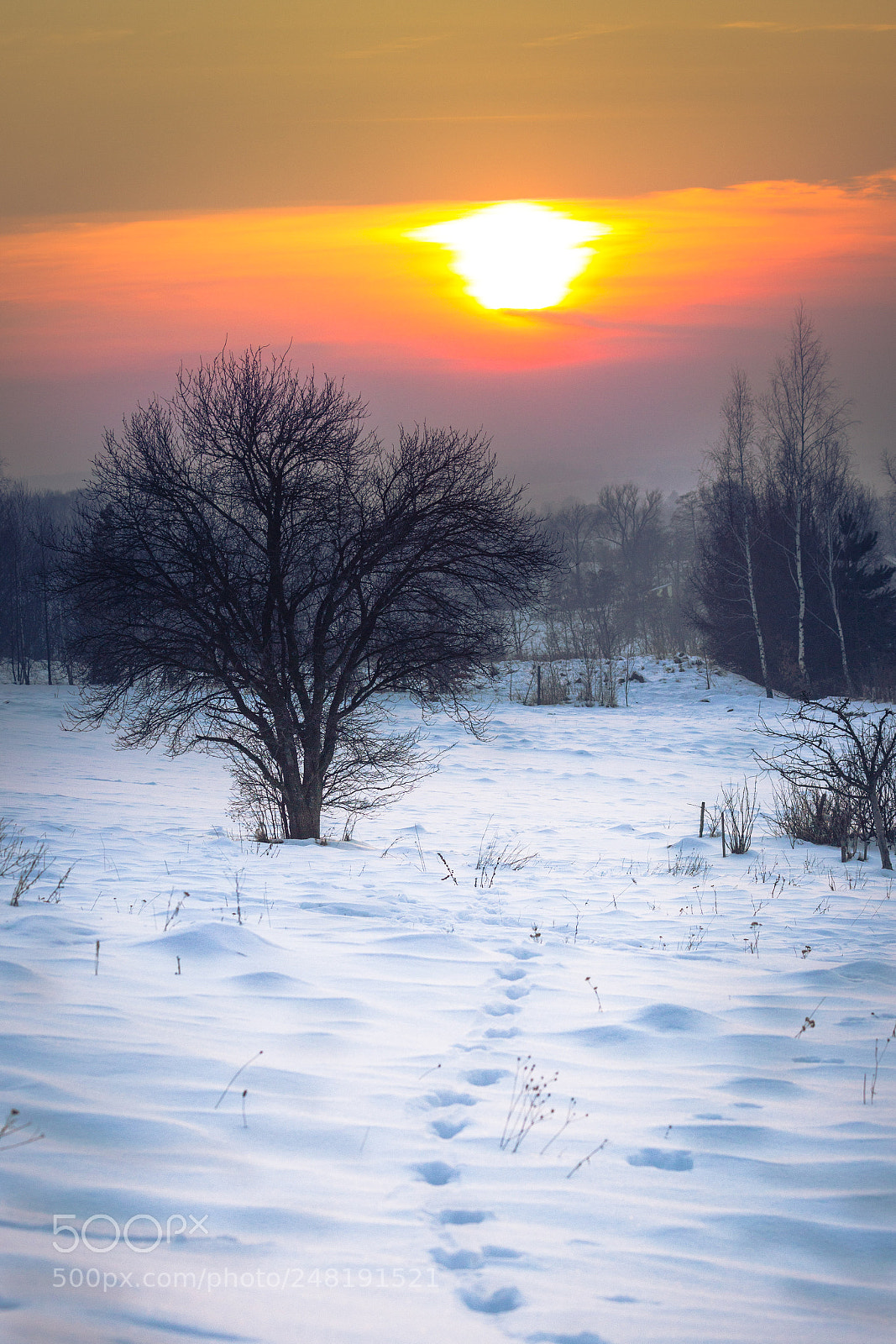 Canon EOS 600D (Rebel EOS T3i / EOS Kiss X5) sample photo. Winter sunset photography