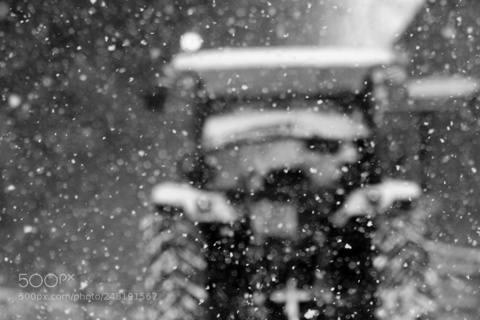 Canon EOS 600D (Rebel EOS T3i / EOS Kiss X5) sample photo. Blizzard photography