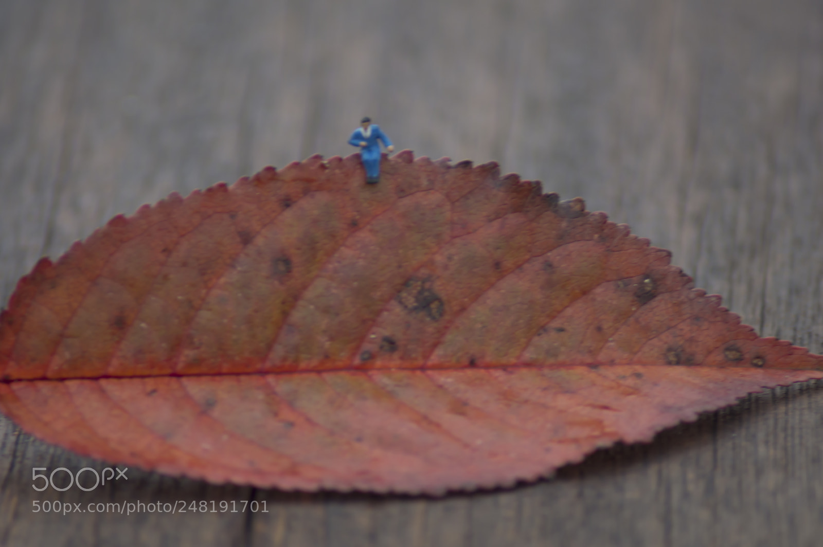 Nikon D3200 sample photo. Deteniendo el tiempo photography