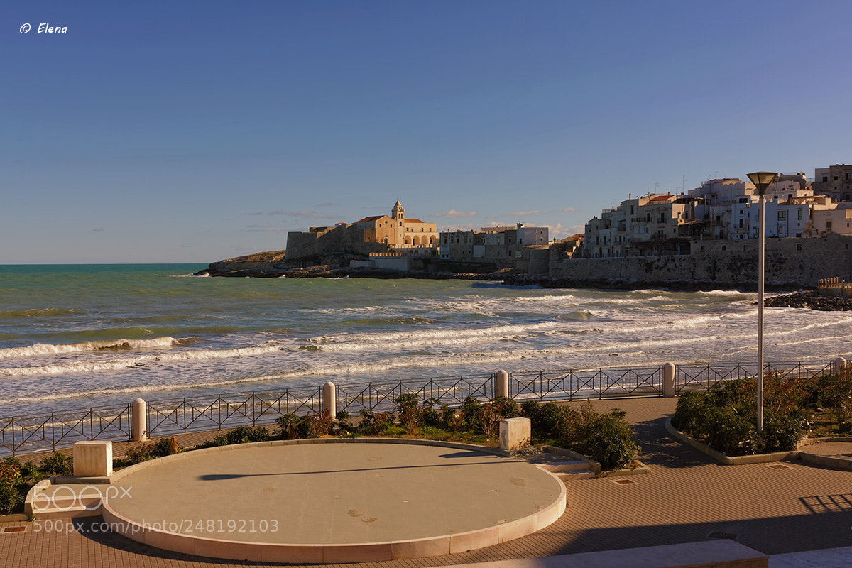Canon EOS 50D sample photo. Vieste photography