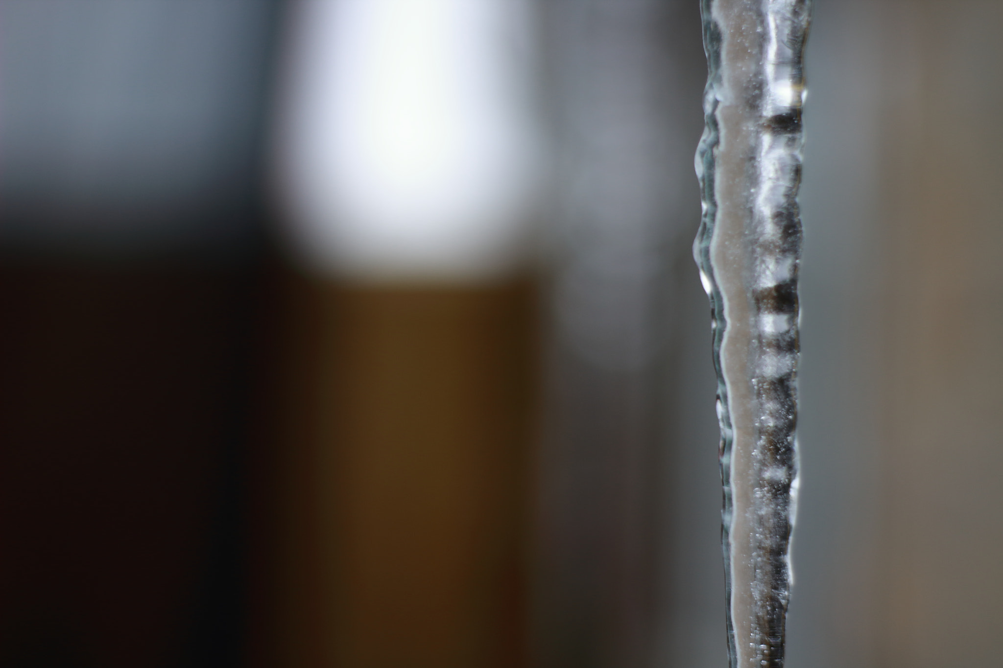 Canon 50mm sample photo. Icicle photography