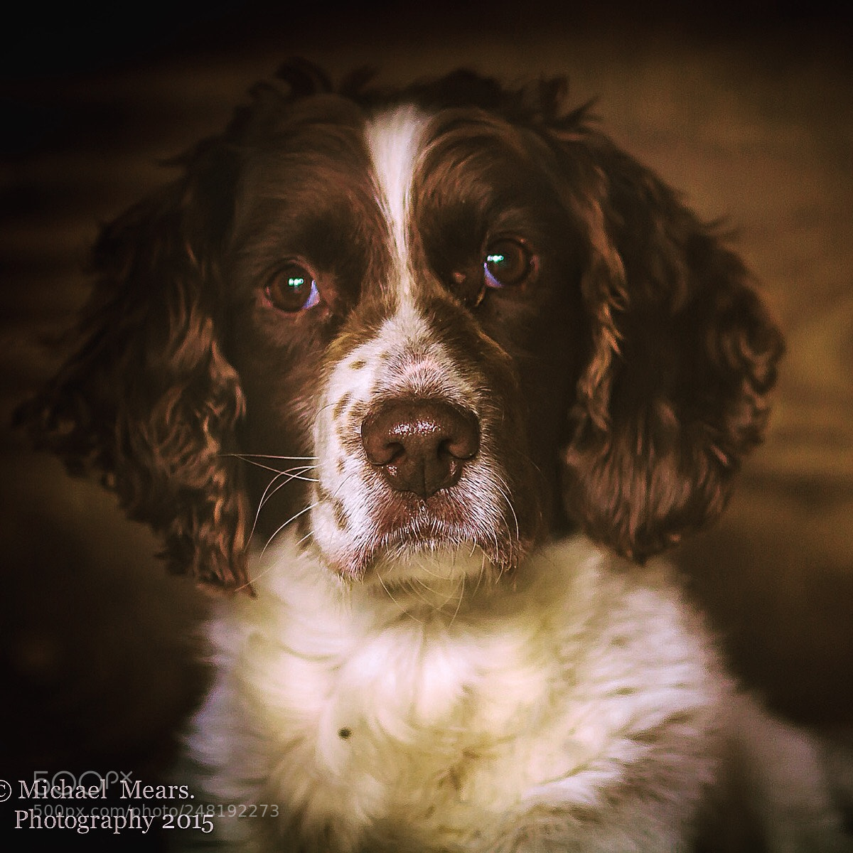 Canon EOS 7D sample photo. Mitch photography
