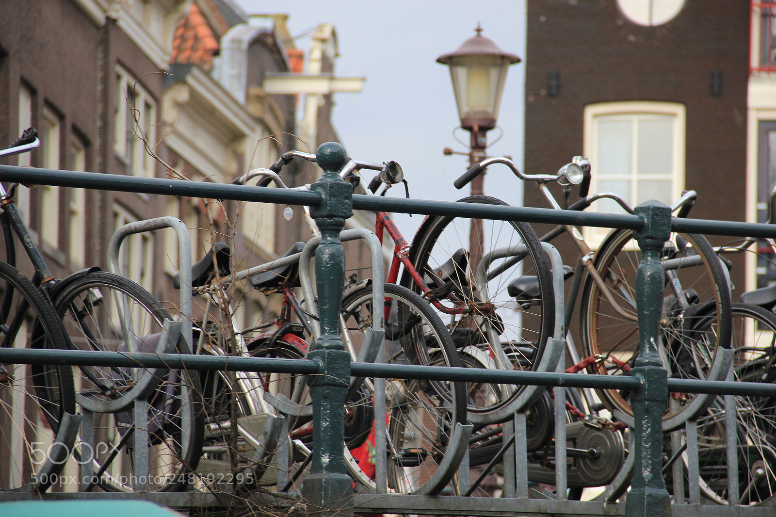Canon EOS 550D (EOS Rebel T2i / EOS Kiss X4) sample photo. Bicycle parking photography