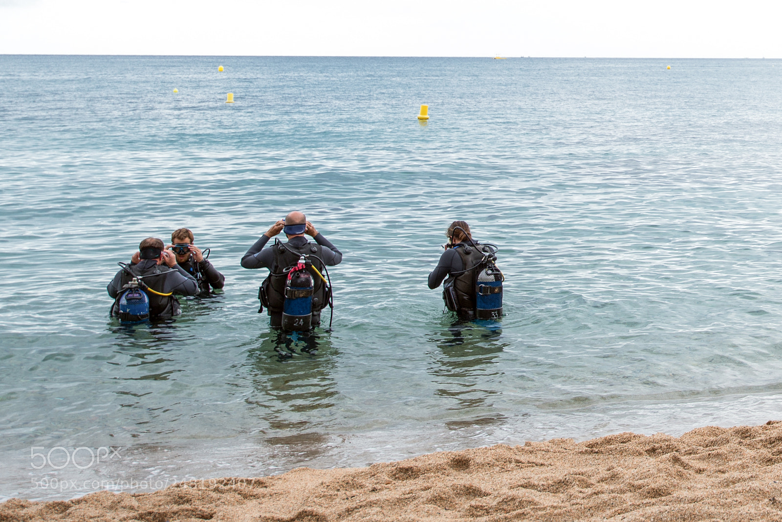 Nikon D610 sample photo. Divers at sea are photography