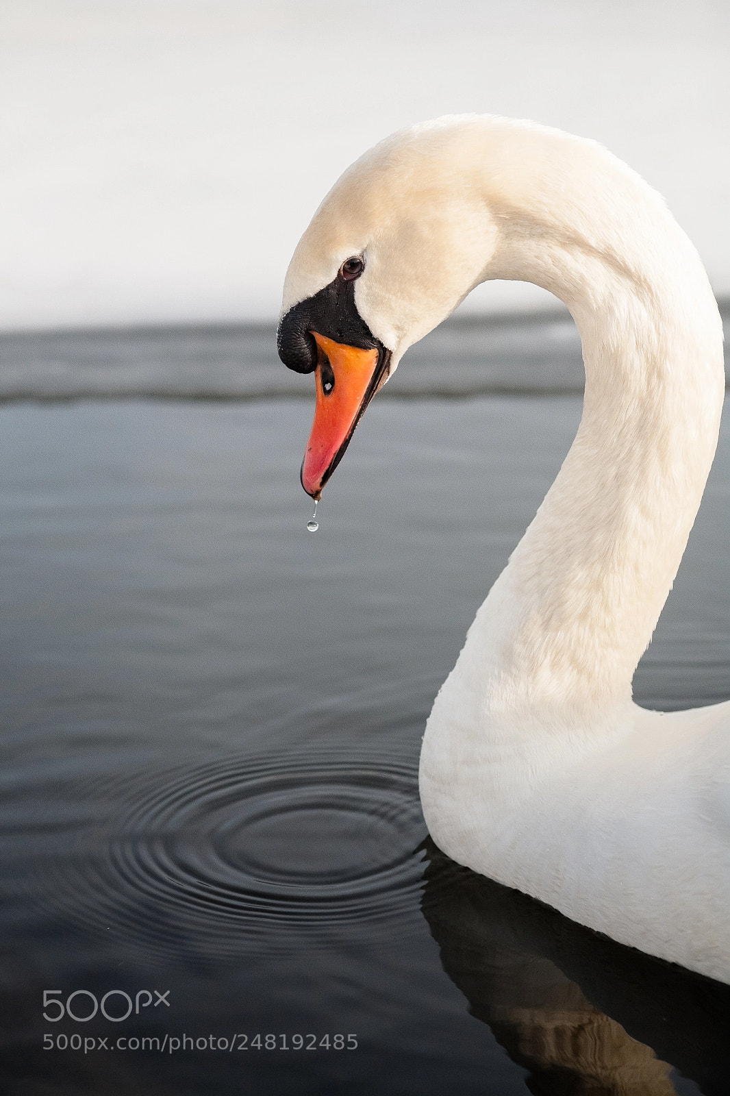 Canon EOS 5D sample photo. Before the last drop photography