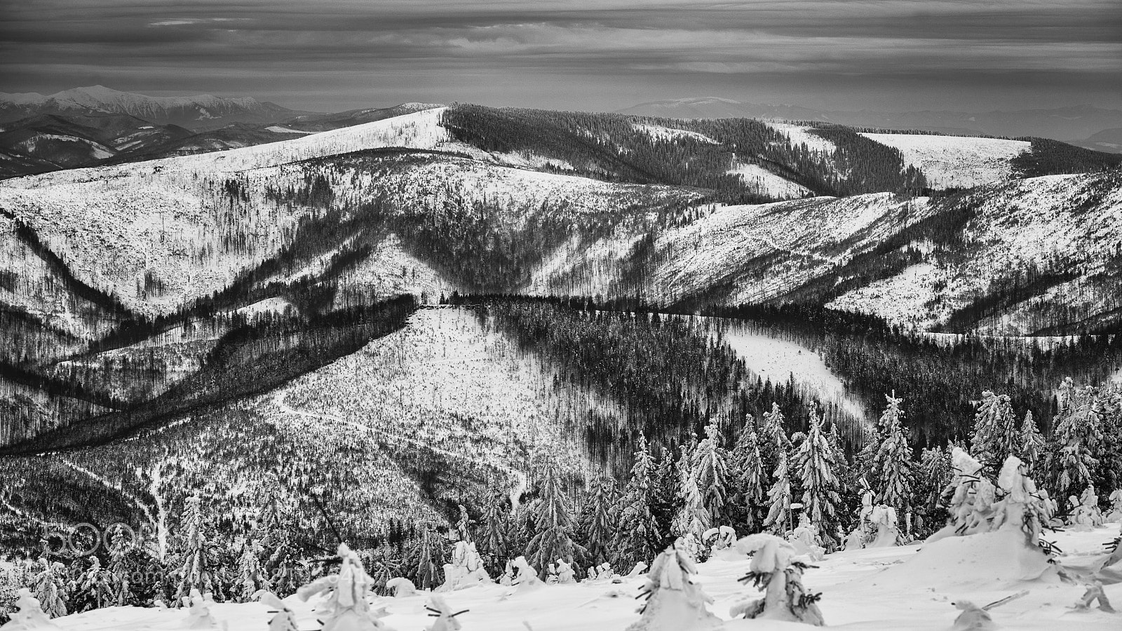 Nikon D610 sample photo. Beskidy photography