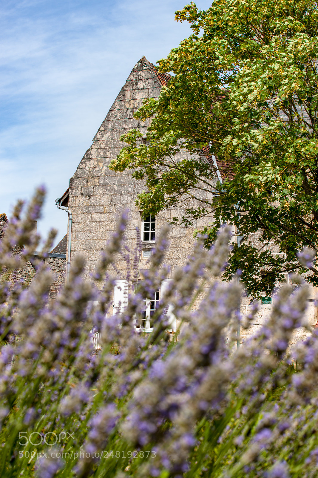 Sony Alpha DSLR-A900 sample photo. Scene in crissay sur photography
