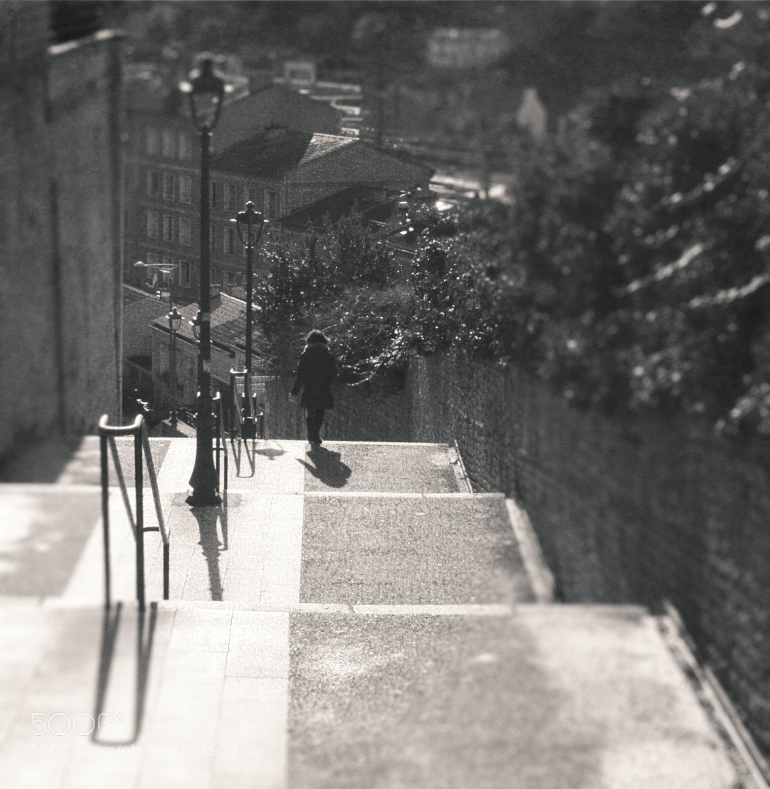 Nikon D610 sample photo. Stairs photography