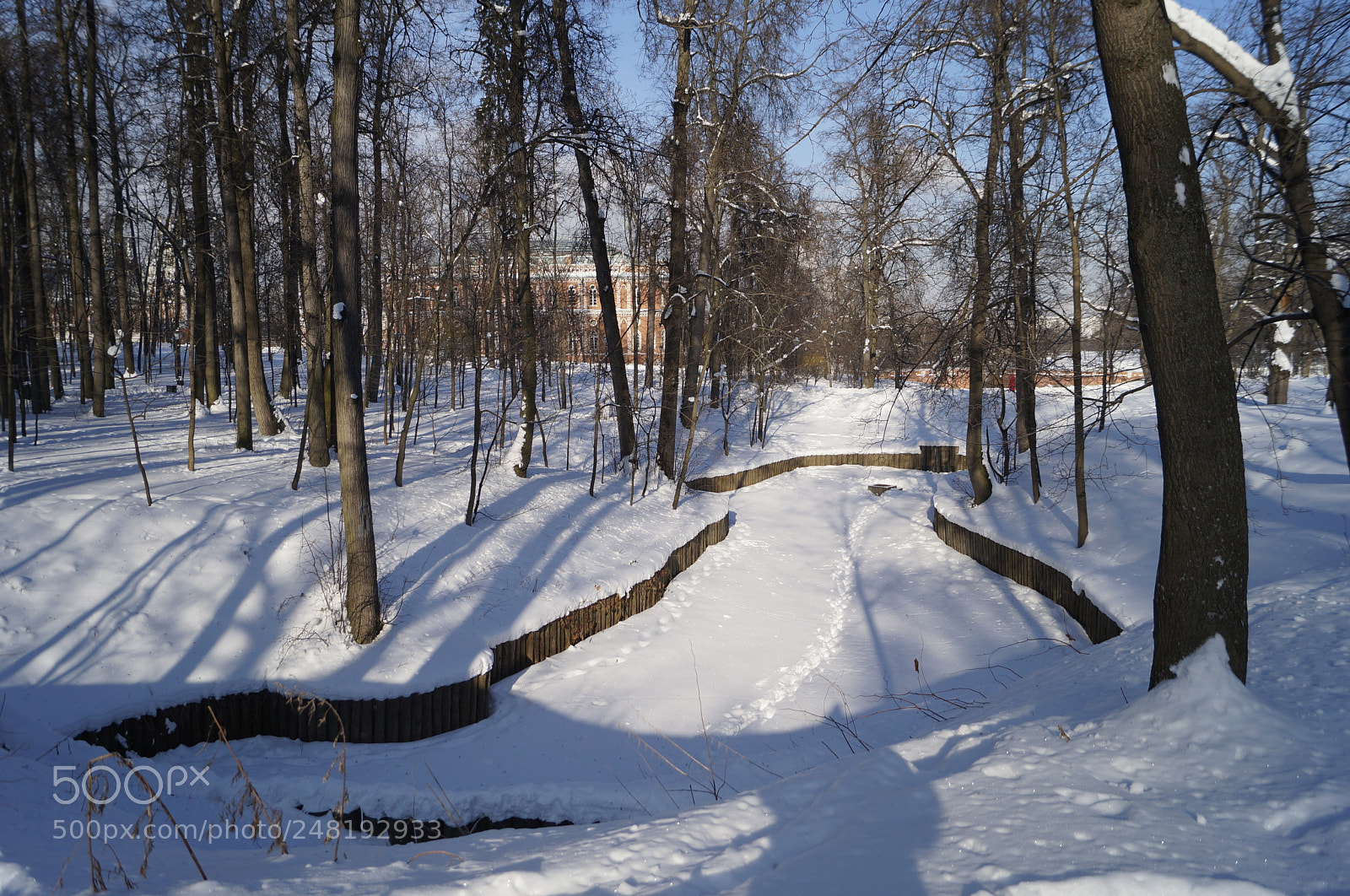 Sony SLT-A57 sample photo. Untitled photography