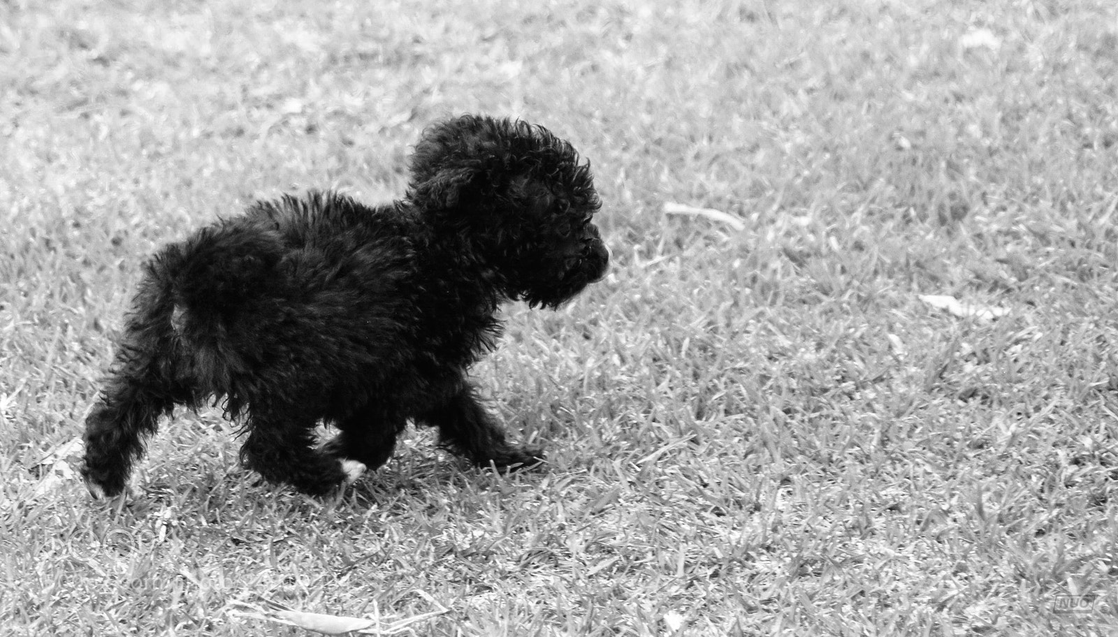 Nikon D5200 sample photo. Pd nov-014 photography