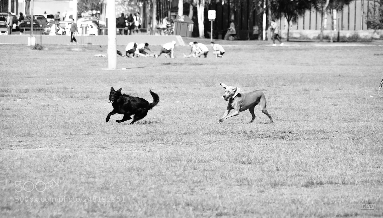 Nikon D5200 sample photo. Pd nov-014 photography