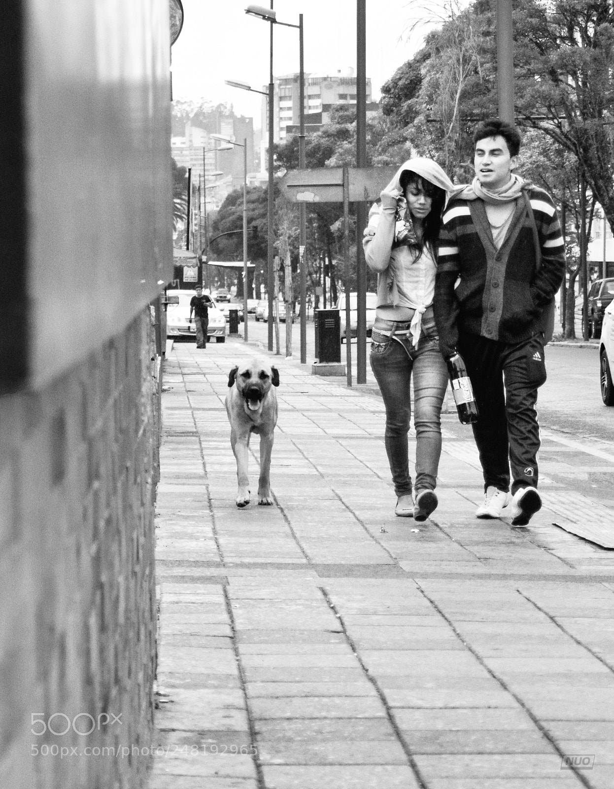 Nikon D5200 sample photo. Pd nov-014 photography