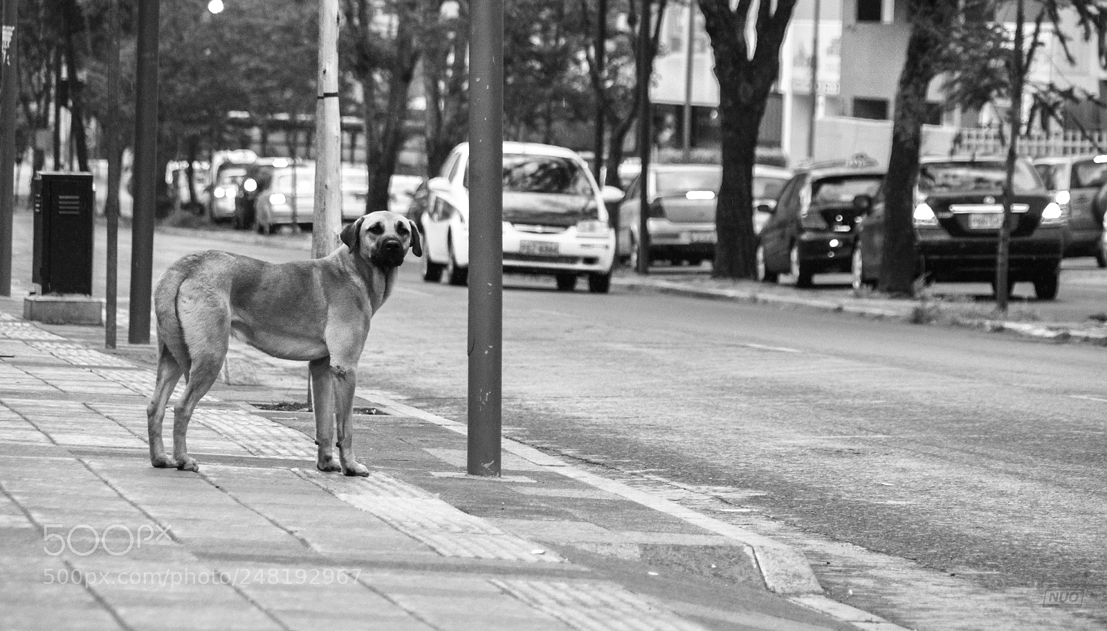 Nikon D5200 sample photo. Pd nov-014 photography