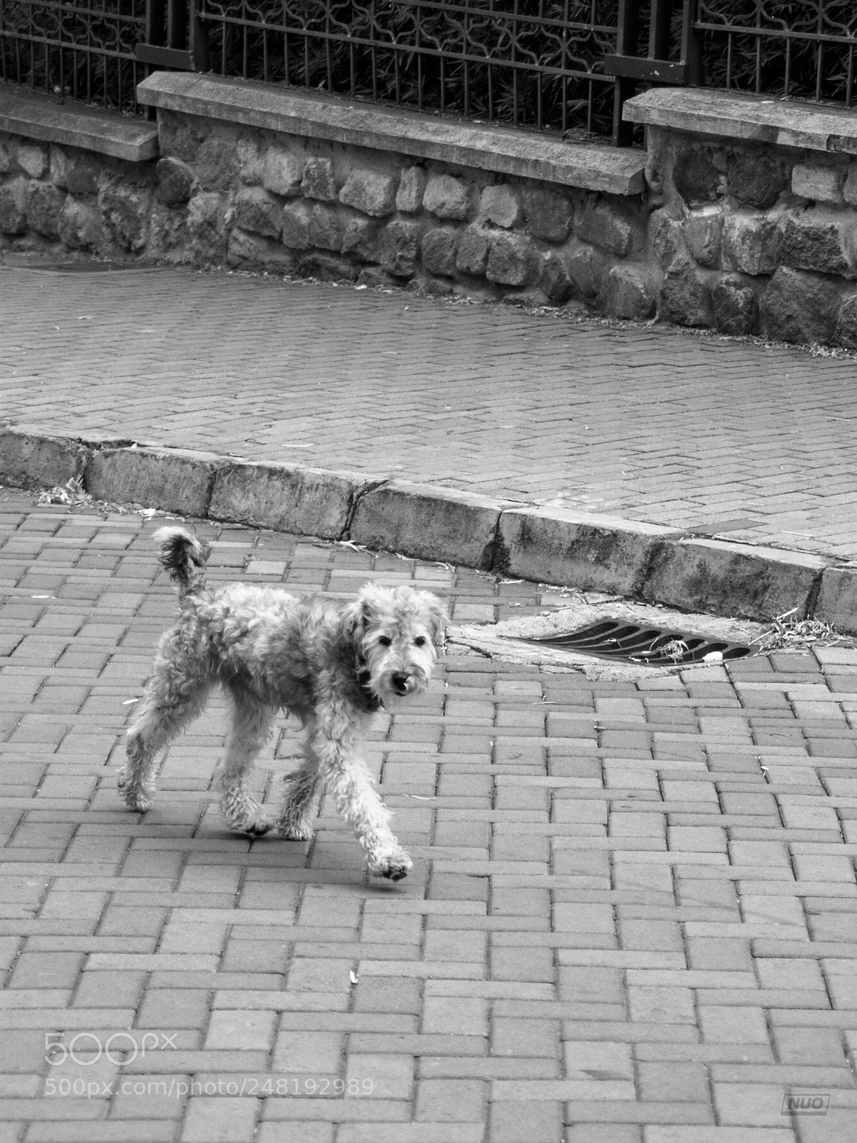 Nikon D5200 sample photo. Pd nov-014 photography