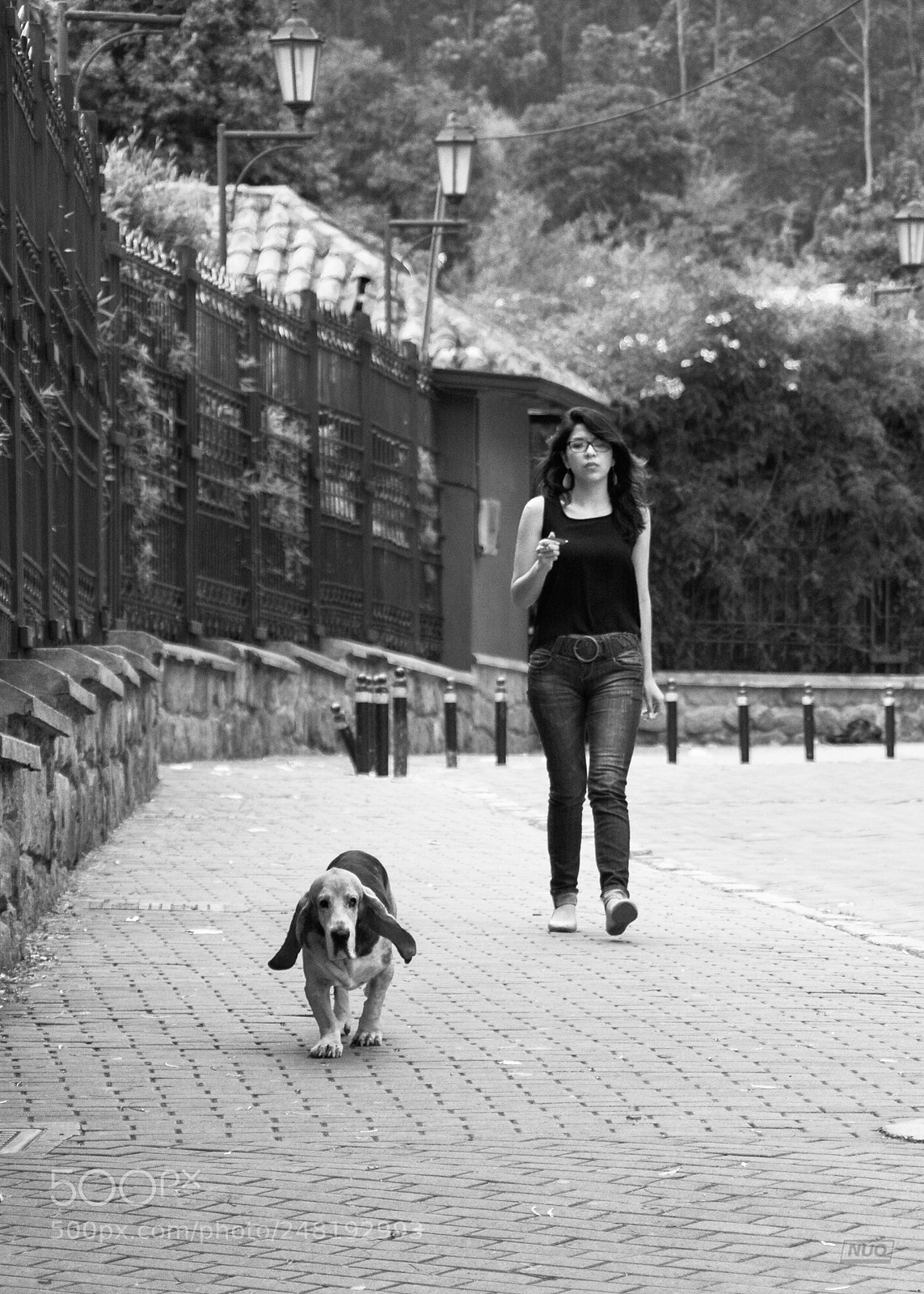 Nikon D5200 sample photo. Pd nov-014 photography