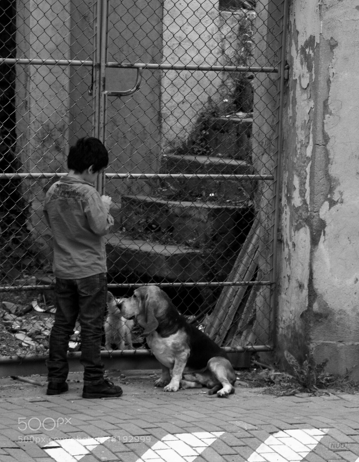 Nikon D5200 sample photo. Pd nov-014 photography