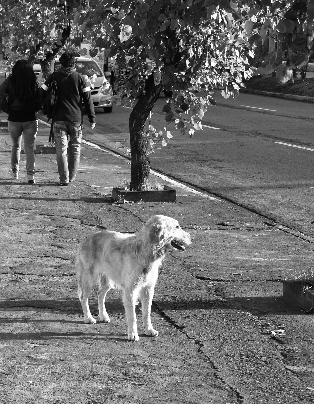 Nikon D5200 sample photo. Pd nov-014 photography
