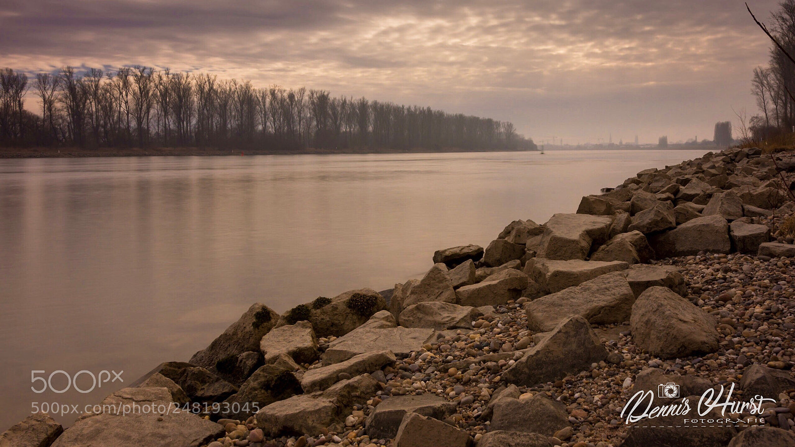 Nikon D7200 sample photo. Rhein bei speyer photography