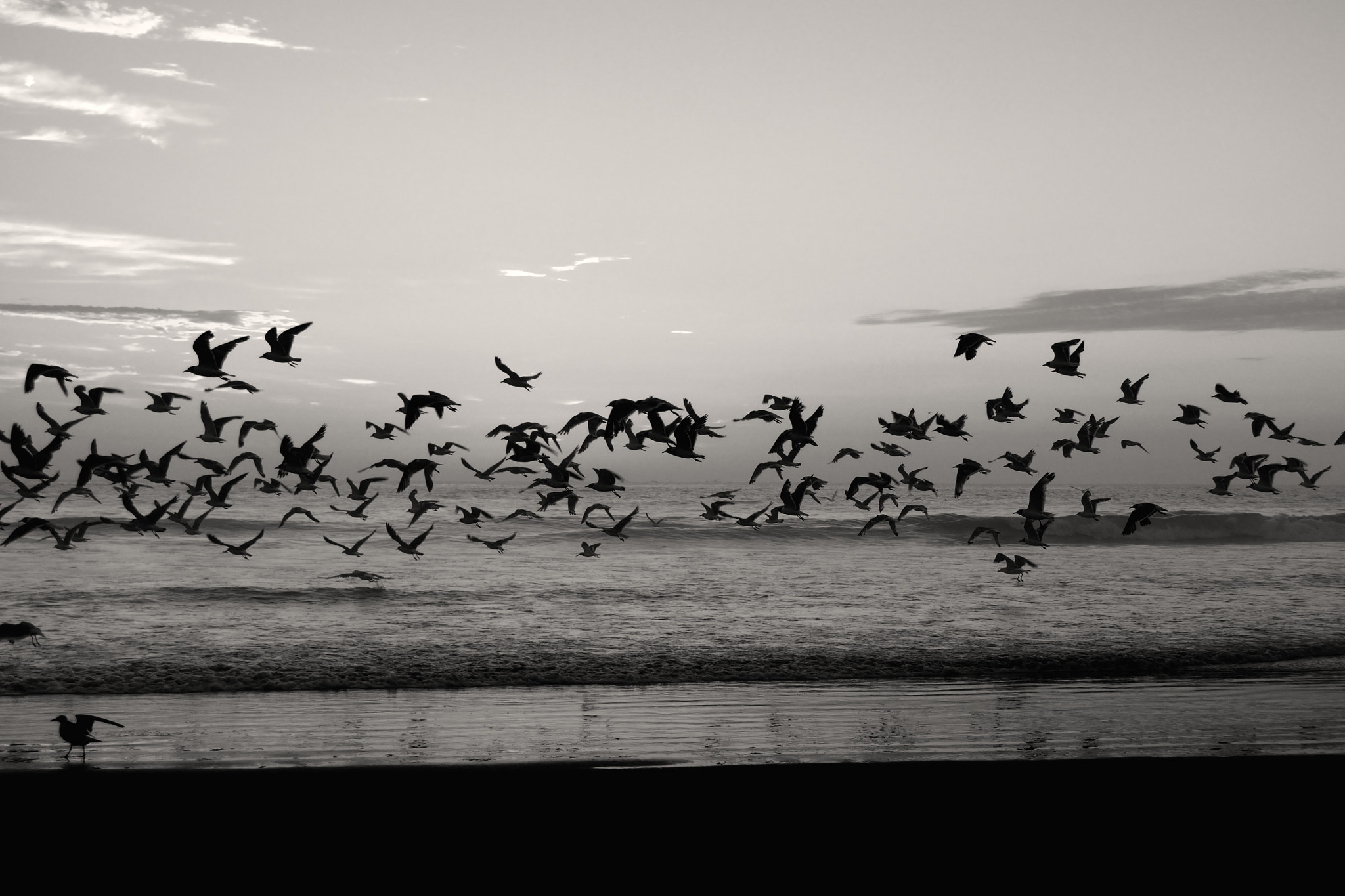 Nikon D5300 sample photo. Come back photography