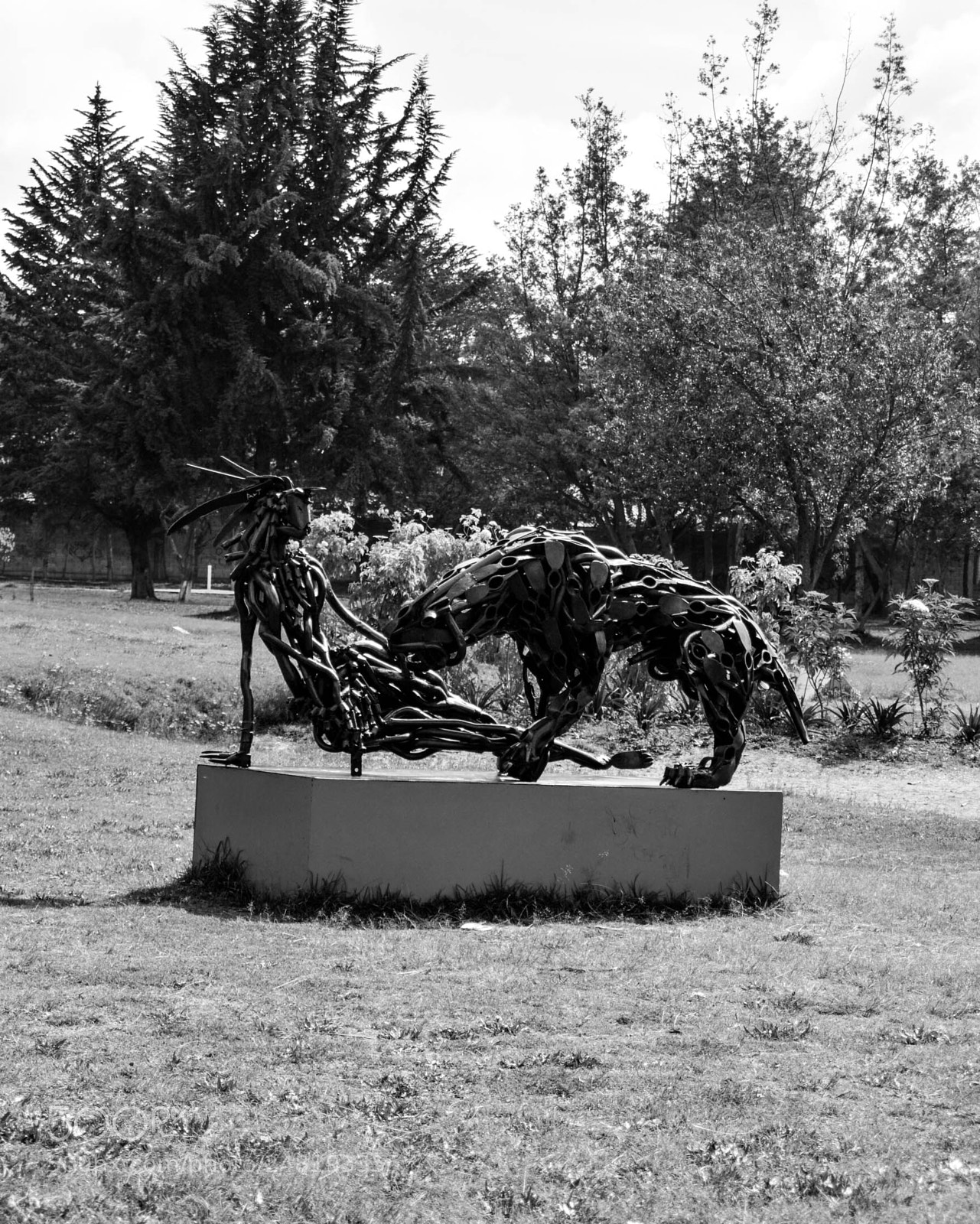 Nikon D5200 sample photo. Passing dogs dec-014 photography