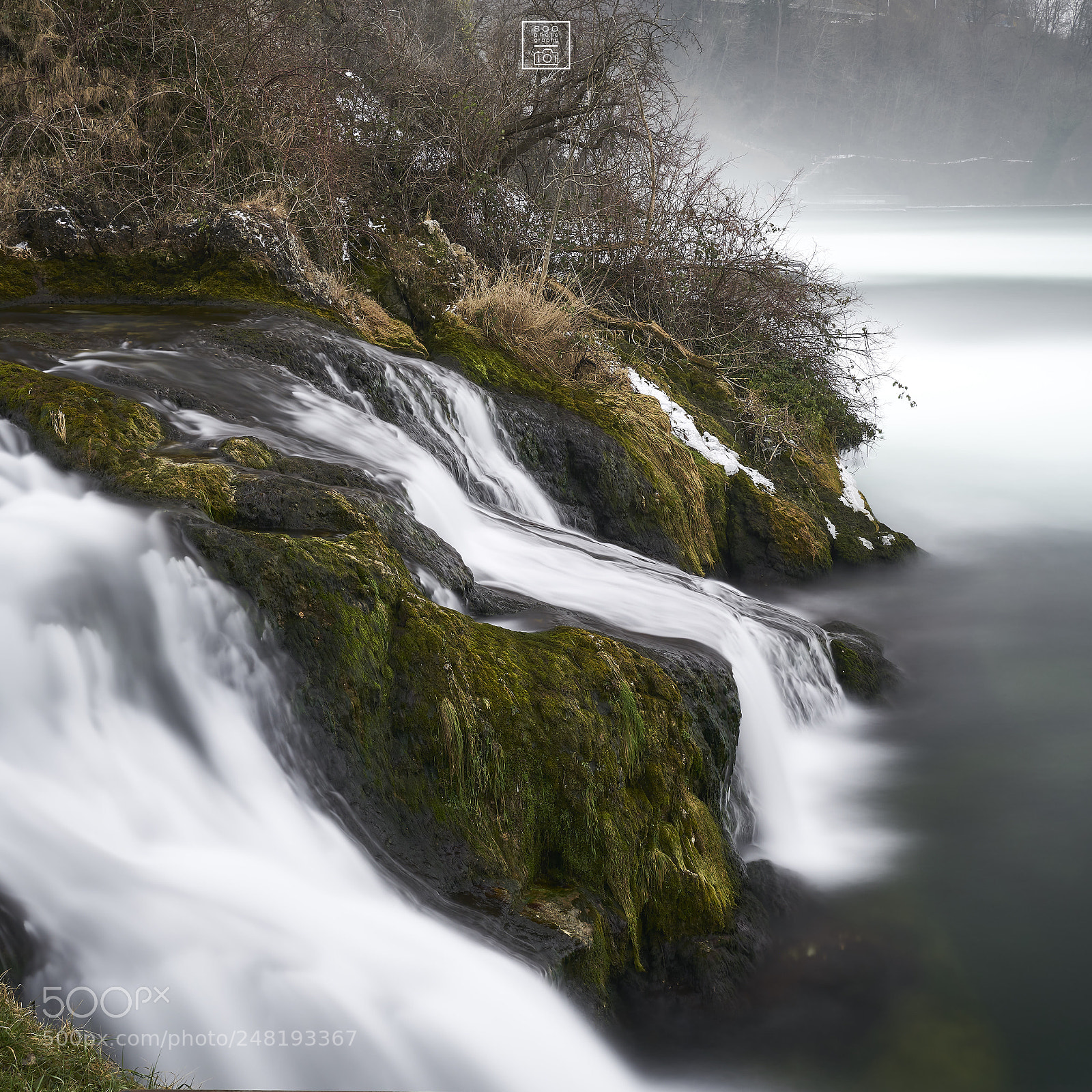 Sony a7R II sample photo. Moss and milk photography