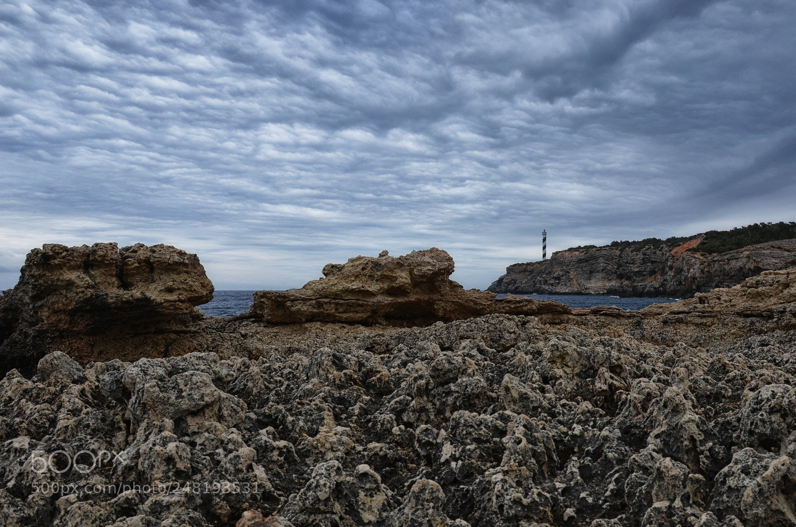 Nikon D5100 sample photo. Bizarre beach photography