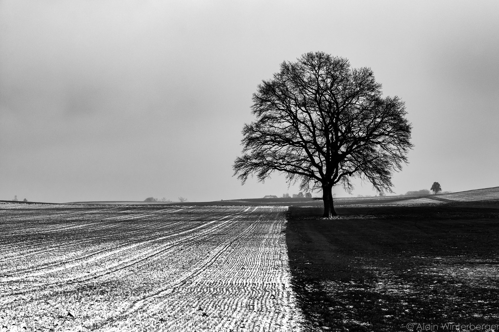 Nikon D7100 sample photo. On the dark side photography
