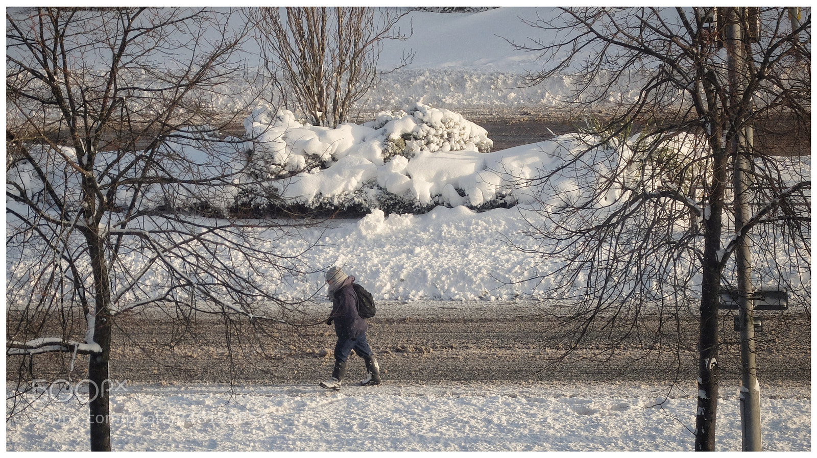 Fujifilm X30 sample photo. Snow walker photography