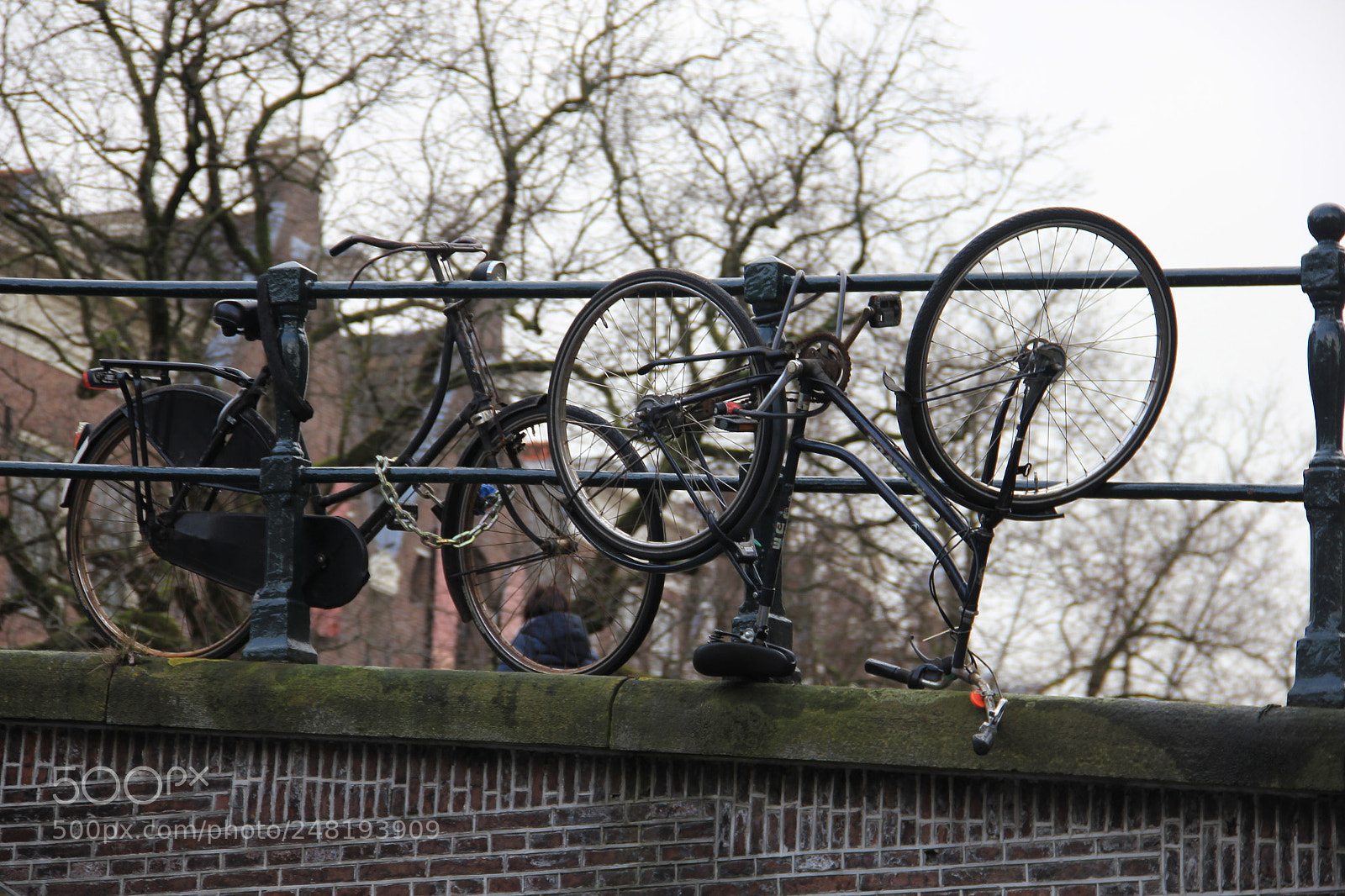 Canon EOS 550D (EOS Rebel T2i / EOS Kiss X4) sample photo. Bikes | upside down photography