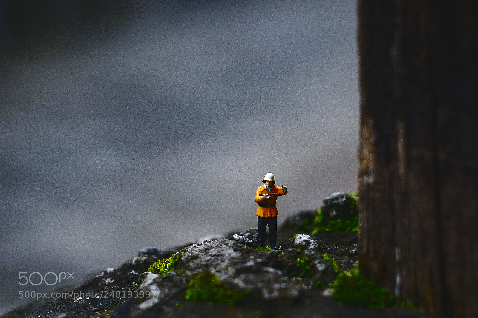 Canon EOS-1D Mark III sample photo. 6.jpg photography