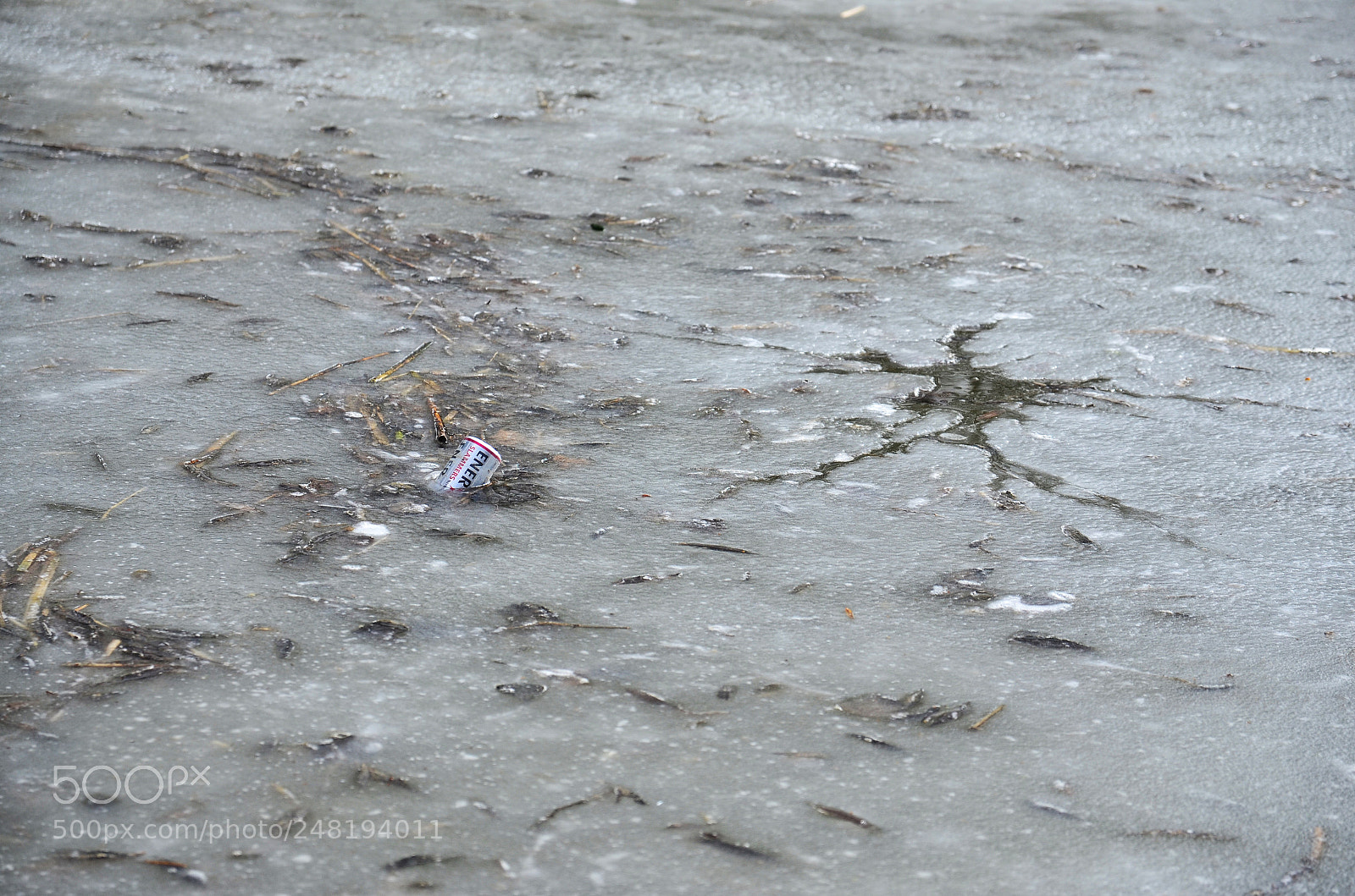 Nikon D5100 sample photo. Energy on ice photography