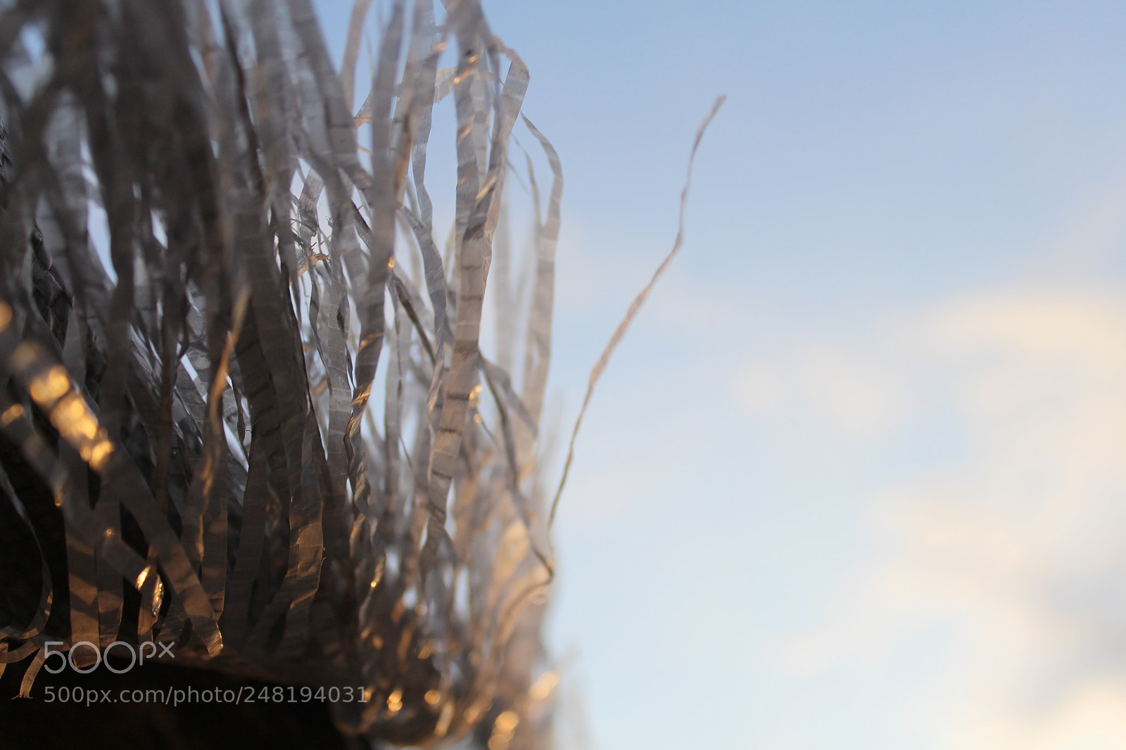Canon EF-S 18-55mm F3.5-5.6 III sample photo. ♥♥♥ photography