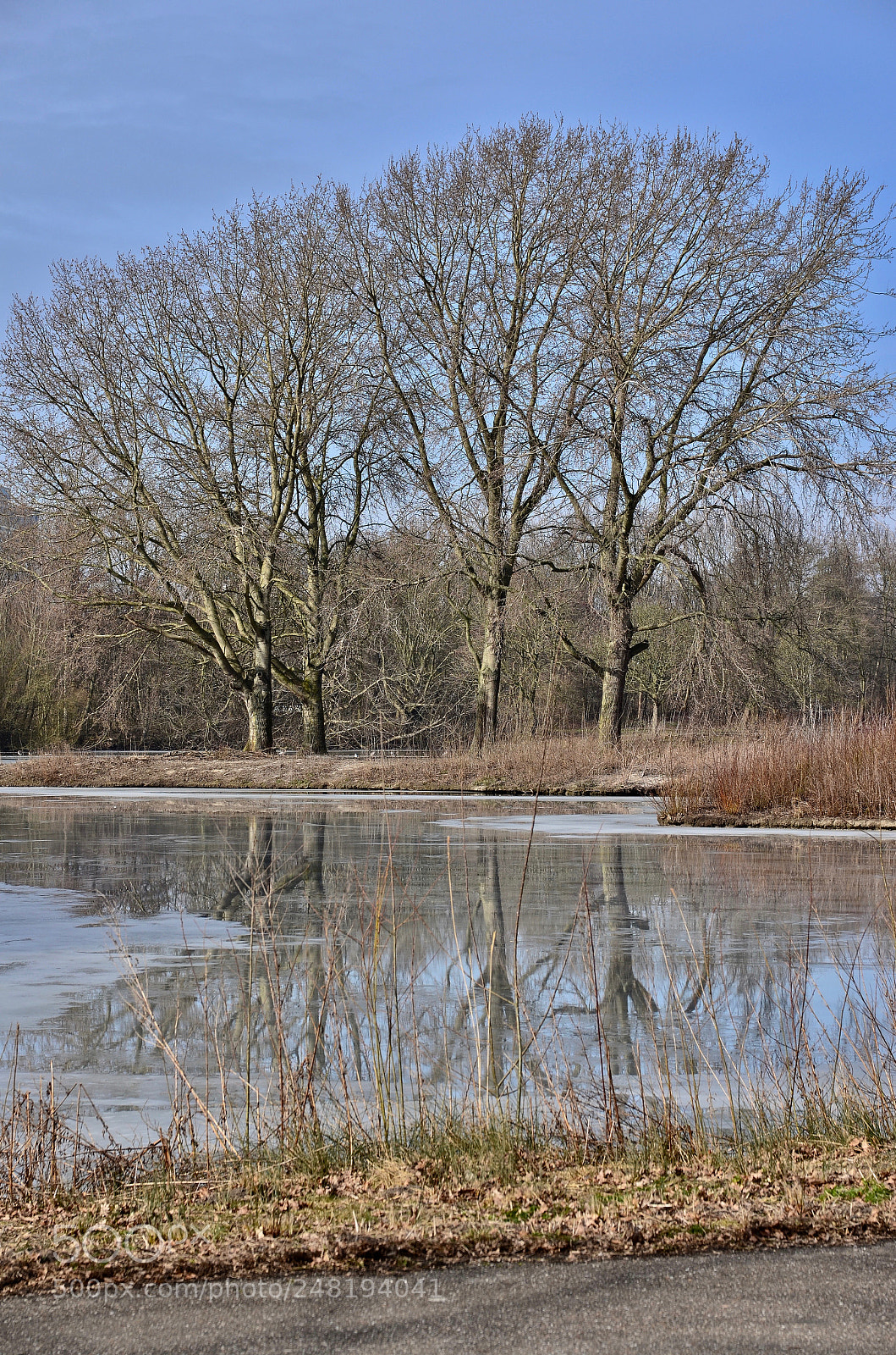 Nikon D5100 sample photo. On the verge of photography