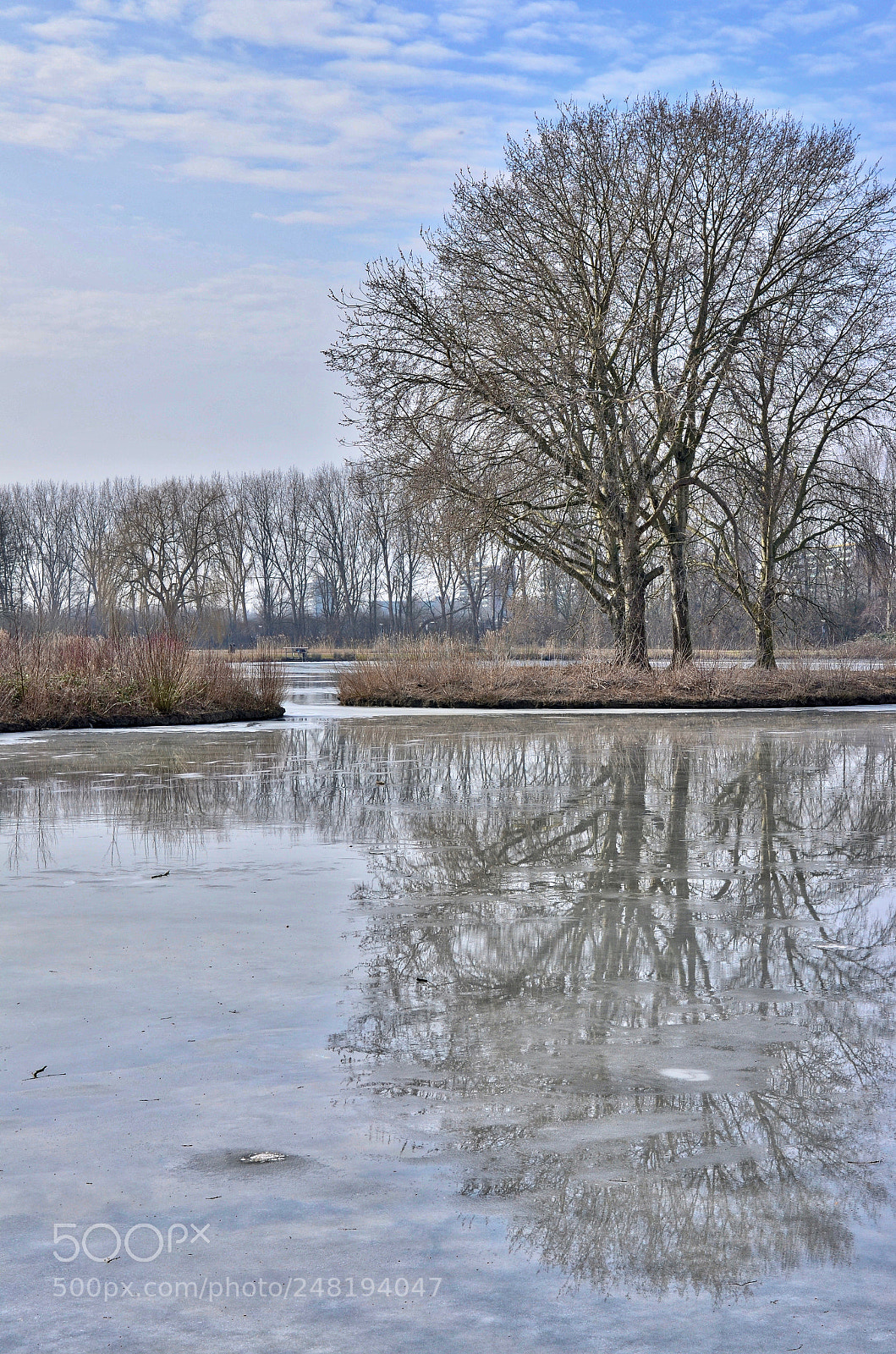 Nikon D5100 sample photo. Just the two of photography