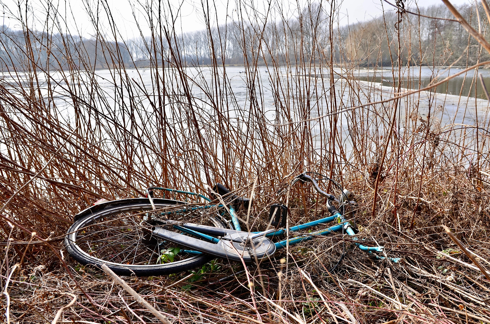 Nikon D5100 sample photo. Cycle completed (nearly) photography