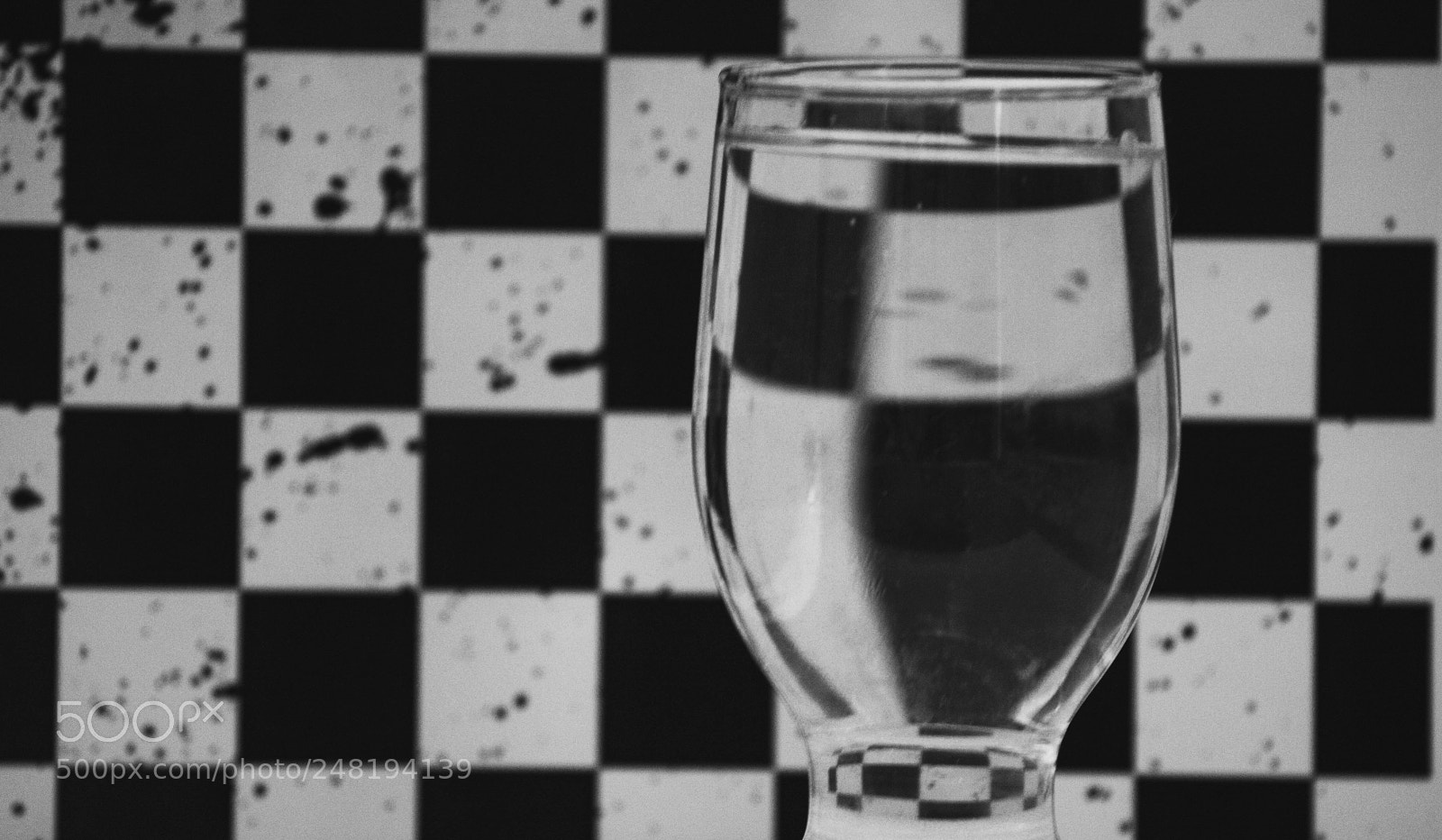 Canon EOS 450D (EOS Rebel XSi / EOS Kiss X2) sample photo. Bnw photography