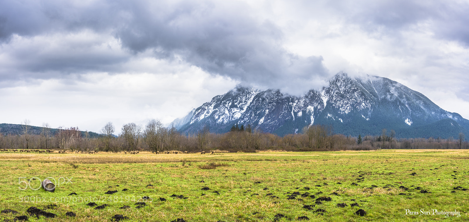 Sony a99 II sample photo. Panoramic mount si photography
