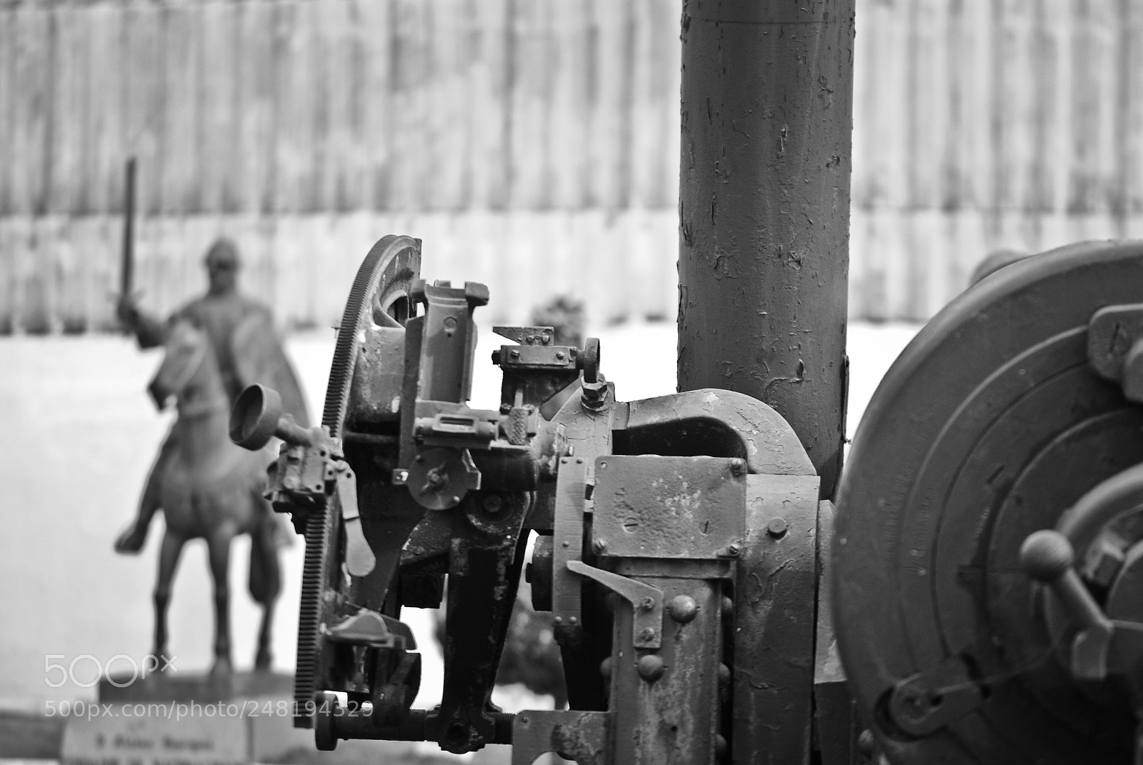 Nikon D3000 sample photo. Untitled photography